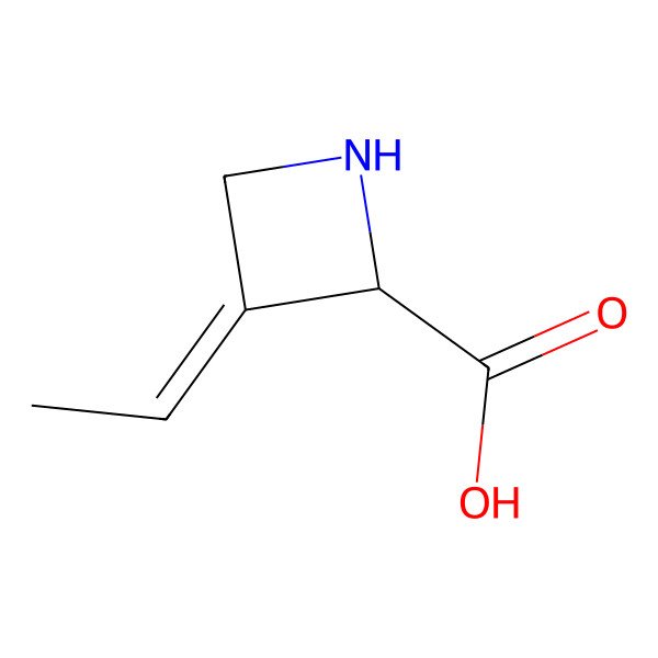 2D Structure of 3-Ethylidene-L-azetidine-2-carboxylic acid