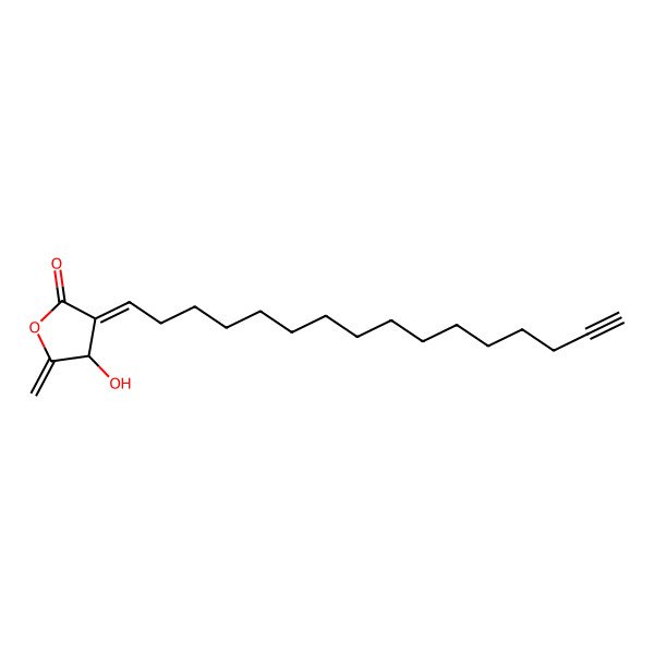 2D Structure of 3-Hexadec-15-ynylidene-4-hydroxy-5-methylideneoxolan-2-one