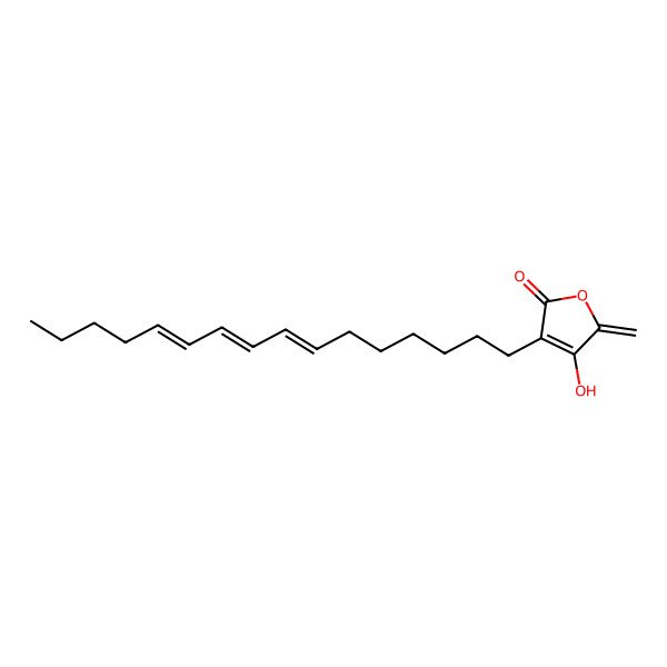 2D Structure of 3-Hexadeca-7,9,11-trienyl-4-hydroxy-5-methylidenefuran-2-one