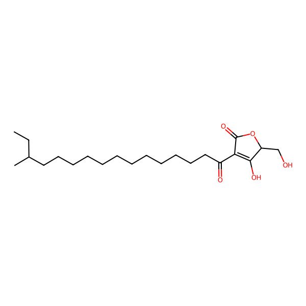 2D Structure of 3-hydroxy-2-(hydroxymethyl)-4-(14-methylhexadecanoyl)-2H-furan-5-one