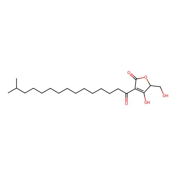 2D Structure of 4-Hydroxy-5-(hydroxymethyl)-3-(14-methyl-1-oxopentadecyl)-2(5H)-furanone