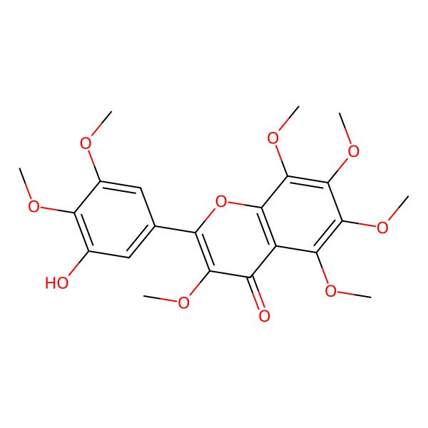 2D Structure of 3'-Hydroxy-3,5,6,7,8,4',5'-heptamethoxyflavone 2D Structure of 3'-Hydroxy-3,5,6,7,8,4',5'-heptamethoxyflavone