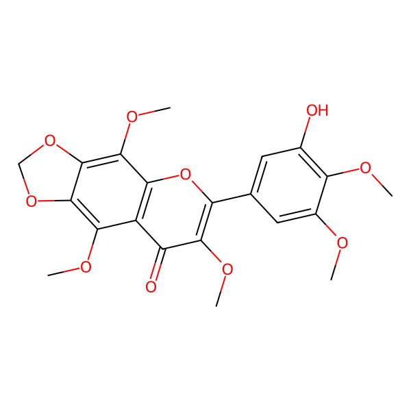 2D Structure of 3'-Hydroxy-3,5,8,4',5'-pentamethoxy-6,7-methylenedioxyflavone 2D Structure of 3'-Hydroxy-3,5,8,4',5'-pentamethoxy-6,7-methylenedioxyflavone