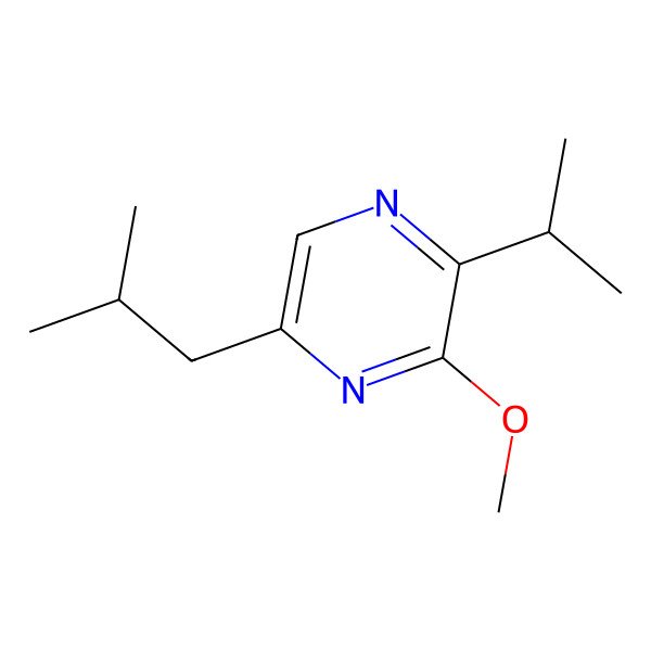 2D Structure of 3-Methoxy-2-(1-methylethyl)-5-(2-methylpropyl) pyrazine