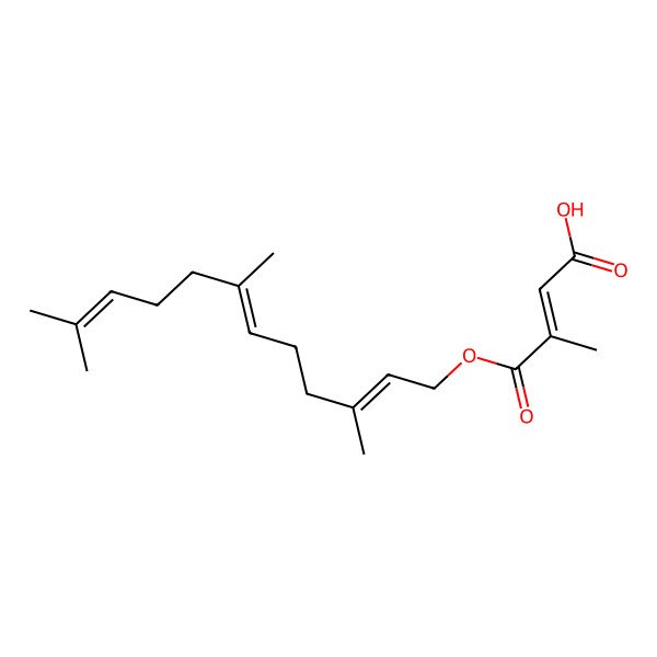 2D Structure of 3-Methyl-4-oxo-4-(3,7,11-trimethyldodeca-2,6,10-trienoxy)but-2-enoic acid 2D Structure of 3-Methyl-4-oxo-4-(3,7,11-trimethyldodeca-2,6,10-trienoxy)but-2-enoic acid