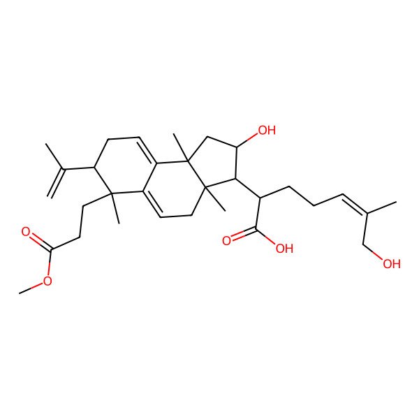 2D Structure of 3-O-Acetyldehydroeburicoic acid