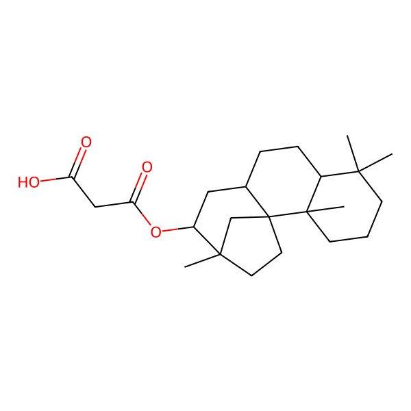 2D Structure of 3-Oxo-3-[(2,6,6,13-tetramethyl-12-tetracyclo[11.2.1.01,10.02,7]hexadecanyl)oxy]propanoic acid