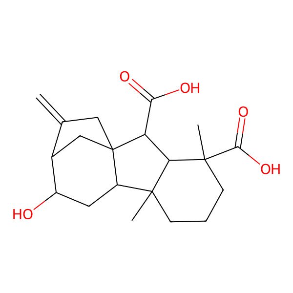 2D Structure of (1S,2S,3S,4R,8S,9S,11S,12R)-11-hydroxy-4,8-dimethyl-13-methylidenetetracyclo[10.2.1.01,9.03,8]pentadecane-2,4-dicarboxylic acid