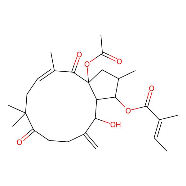 2D Structure of [(1S,2S,3aR,5E,13S,13aS)-3a-acetyloxy-13-hydroxy-2,5,8,8-tetramethyl-12-methylidene-4,9-dioxo-1,2,3,7,10,11,13,13a-octahydrocyclopenta[12]annulen-1-yl] (E)-2-methylbut-2-enoate
