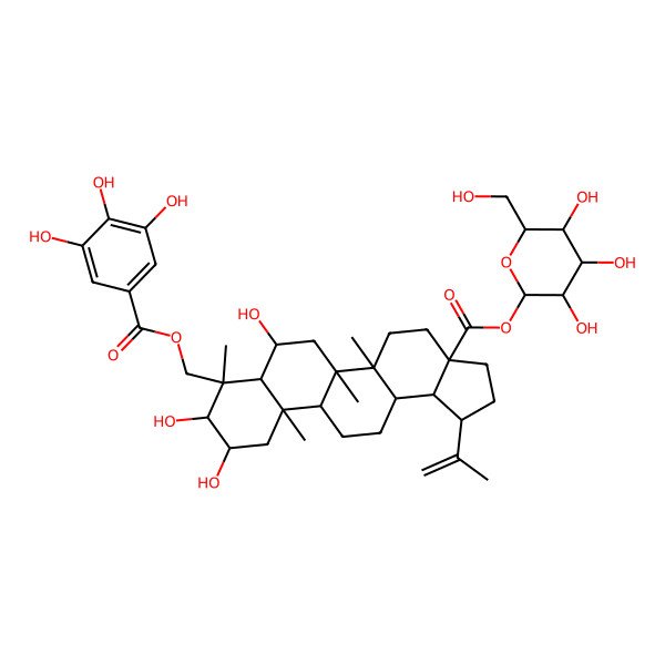 2D Structure of [(2S,3R,4S,5S,6R)-3,4,5-trihydroxy-6-(hydroxymethyl)oxan-2-yl] (1R,3aS,5aR,5bR,7R,7aR,8R,9R,10R,11aR,11bR,13aR,13bS)-7,9,10-trihydroxy-5a,5b,8,11a-tetramethyl-1-prop-1-en-2-yl-8-[(3,4,5-trihydroxybenzoyl)oxymethyl]-1,2,3,4,5,6,7,7a,9,10,11,11b,12,13,13a,13b-hexadecahydrocyclopenta[a]chrysene-3a-carboxylate