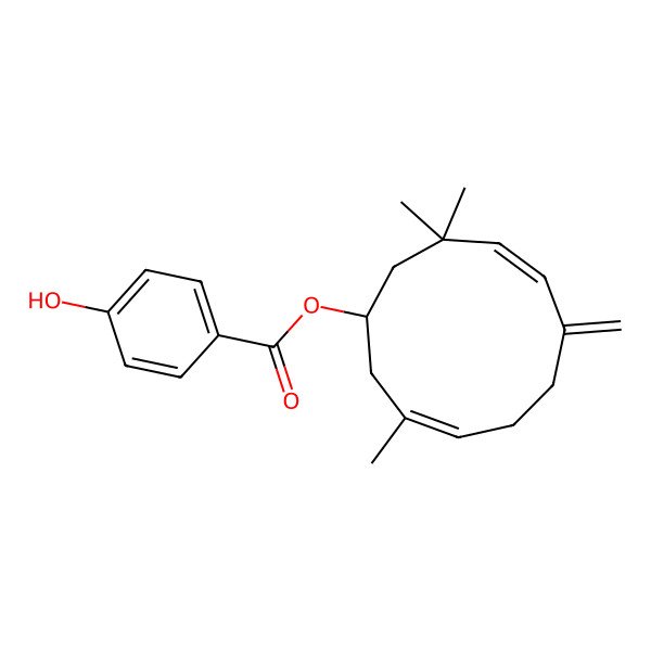2D Structure of (3,10,10-Trimethyl-7-methylidenecycloundeca-3,8-dien-1-yl) 4-hydroxybenzoate 2D Structure of (3,10,10-Trimethyl-7-methylidenecycloundeca-3,8-dien-1-yl) 4-hydroxybenzoate