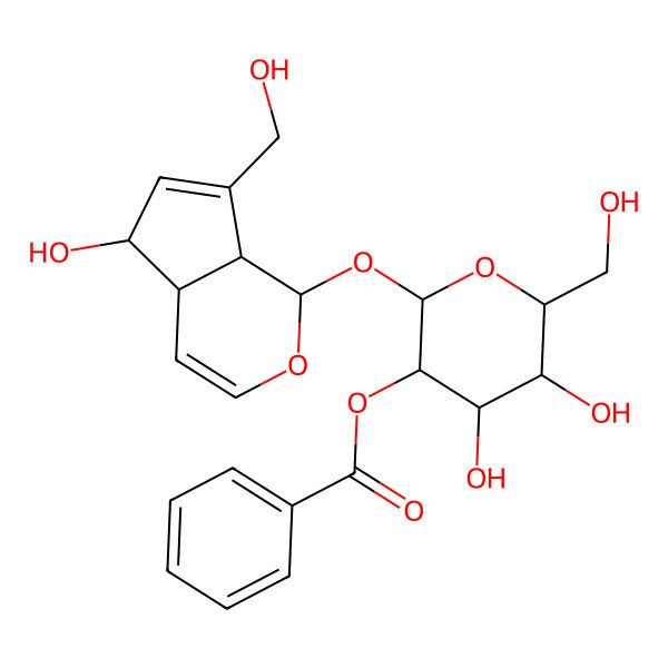 2D Structure of [4,5-Dihydroxy-2-[[5-hydroxy-7-(hydroxymethyl)-1,4a,5,7a-tetrahydrocyclopenta[c]pyran-1-yl]oxy]-6-(hydroxymethyl)oxan-3-yl] benzoate