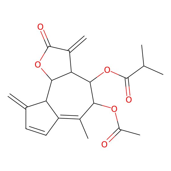 2D Structure of [(3aR,4R,5S,9aS,9bR)-5-acetyloxy-6-methyl-3,9-dimethylidene-2-oxo-4,5,9a,9b-tetrahydro-3aH-azuleno[4,5-b]furan-4-yl] 2-methylpropanoate