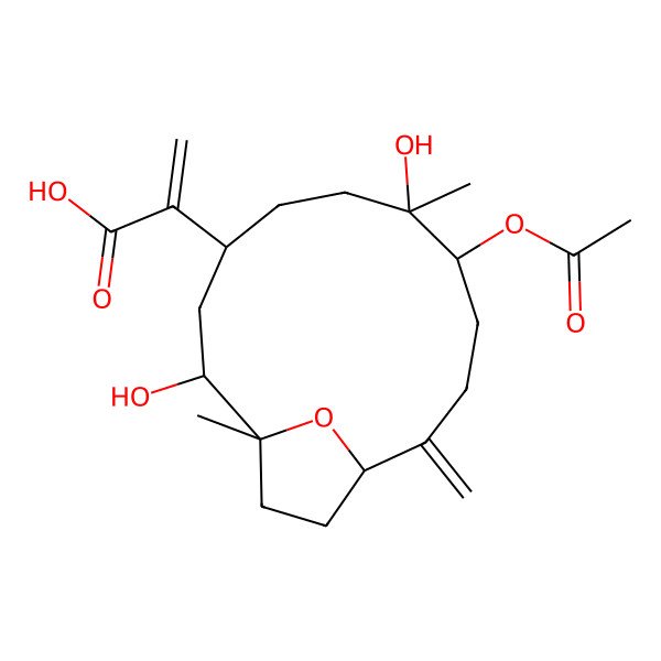 2D Structure of 2-[(1S,2R,4R,7R,8S,12R)-8-acetyloxy-2,7-dihydroxy-1,7-dimethyl-11-methylidene-15-oxabicyclo[10.2.1]pentadecan-4-yl]prop-2-enoic acid