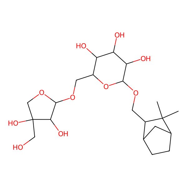 2D Structure of (2R,3S,4S,5R,6R)-2-[[(2R,3R,4R)-3,4-dihydroxy-4-(hydroxymethyl)oxolan-2-yl]oxymethyl]-6-[[(1R,2R,4S)-3,3-dimethyl-2-bicyclo[2.2.1]heptanyl]methoxy]oxane-3,4,5-triol