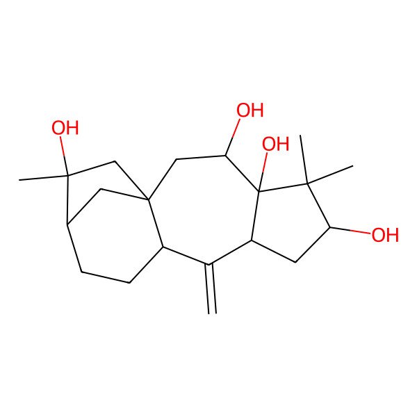 2D Structure of (1R,3S,4S,6S,8R,10S,13R,14R)-5,5,14-trimethyl-9-methylidenetetracyclo[11.2.1.01,10.04,8]hexadecane-3,4,6,14-tetrol