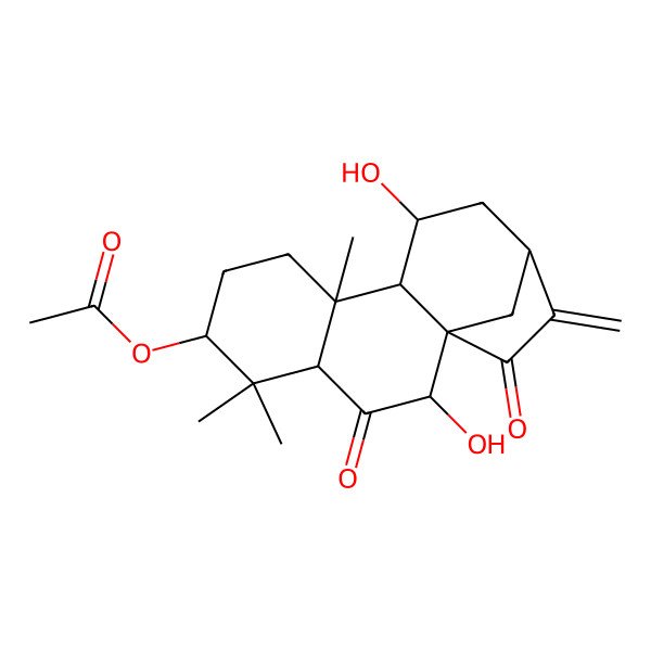 2D Structure of [(1R,2R,4S,6S,9S,10S,11S,13S)-2,11-dihydroxy-5,5,9-trimethyl-14-methylidene-3,15-dioxo-6-tetracyclo[11.2.1.01,10.04,9]hexadecanyl] acetate