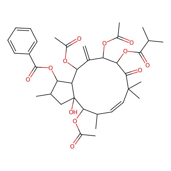 2D Structure of [4,11,13-triacetyloxy-3a-hydroxy-2,5,8,8-tetramethyl-12-methylidene-10-(2-methylpropanoyloxy)-9-oxo-2,3,4,5,10,11,13,13a-octahydro-1H-cyclopenta[12]annulen-1-yl] benzoate