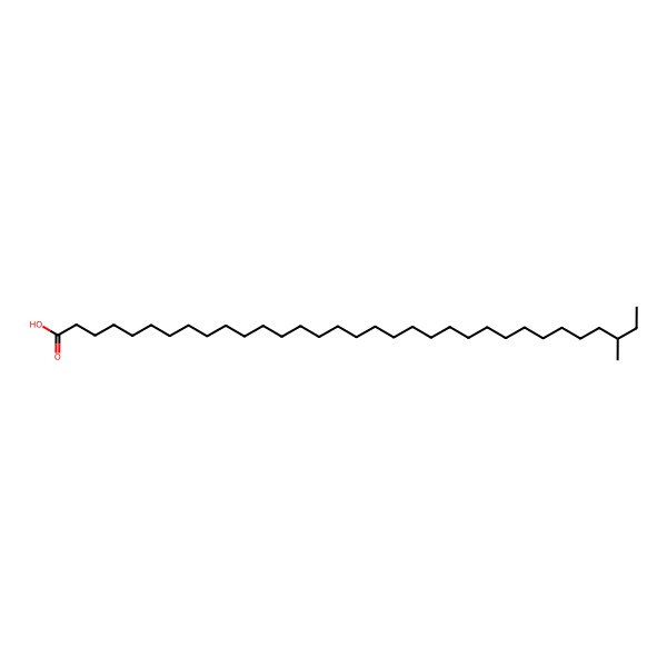 2D Structure of (31S)-31-methyltritriacontanoic acid