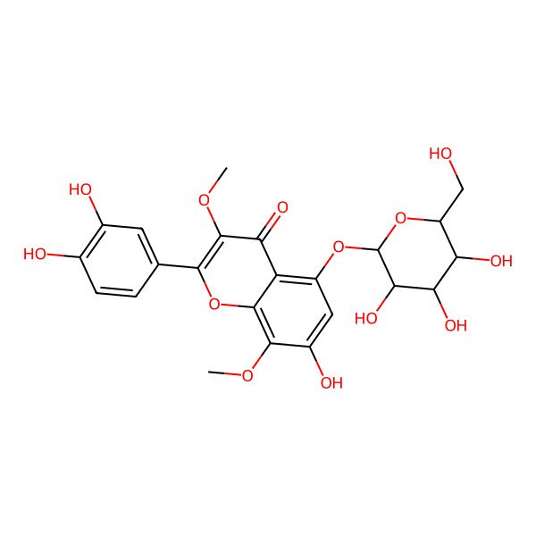2D Structure of 2-(3,4-dihydroxyphenyl)-7-hydroxy-3,8-dimethoxy-5-[(2S,3R,4S,5S,6R)-3,4,5-trihydroxy-6-(hydroxymethyl)oxan-2-yl]oxychromen-4-one