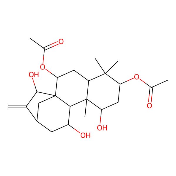 2D Structure of (6-Acetyloxy-8,11,15-trihydroxy-5,5,9-trimethyl-14-methylidene-2-tetracyclo[11.2.1.01,10.04,9]hexadecanyl) acetate