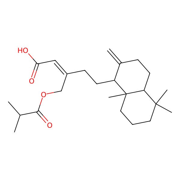 2D Structure of 5-(5,5,8a-trimethyl-2-methylidene-3,4,4a,6,7,8-hexahydro-1H-naphthalen-1-yl)-3-(2-methylpropanoyloxymethyl)pent-2-enoic acid