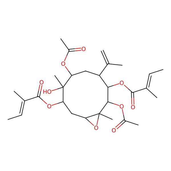 2D Structure of [(1R,3S,4S,5R,7R,8S,9S,10R)-5,9-diacetyloxy-4-hydroxy-4,10-dimethyl-8-[(Z)-2-methylbut-2-enoyl]oxy-7-prop-1-en-2-yl-11-oxabicyclo[8.1.0]undecan-3-yl] (Z)-2-methylbut-2-enoate
