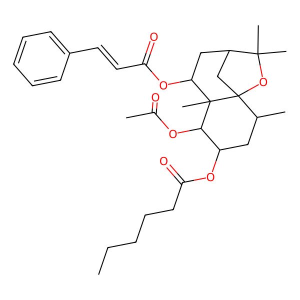 2D Structure of [(1S,2R,4S,5R,6R,7S,9R)-5-acetyloxy-2,6,10,10-tetramethyl-7-[(E)-3-phenylprop-2-enoyl]oxy-11-oxatricyclo[7.2.1.01,6]dodecan-4-yl] hexanoate