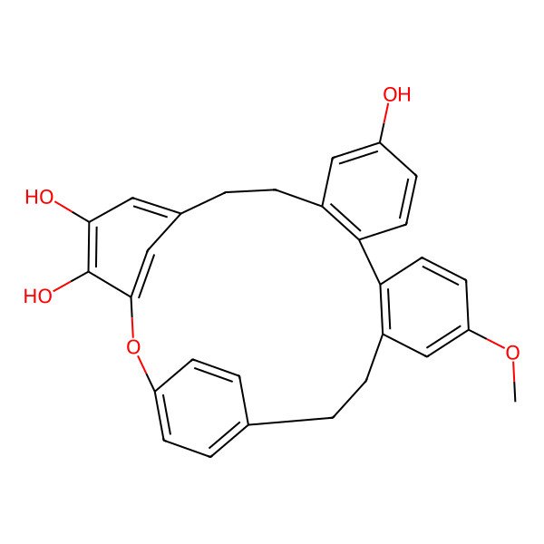 2D Structure of 19-Methoxy-2-oxapentacyclo[22.2.2.13,7.010,15.016,21]nonacosa-1(26),3(29),4,6,10(15),11,13,16(21),17,19,24,27-dodecaene-4,5,12-triol