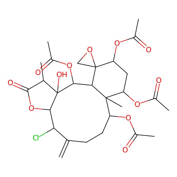 2D Structure of [(1S,2S,3R,4R,7R,8S,12S,13S,14R,16R,17R)-2,14,16-triacetyloxy-8-chloro-3-hydroxy-4,13-dimethyl-9-methylidene-5-oxospiro[6-oxatricyclo[11.4.0.03,7]heptadecane-17,2'-oxirane]-12-yl] acetate