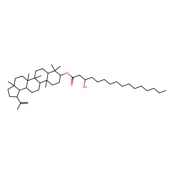 2D Structure of (3a,5a,5b,8,8,11a-Hexamethyl-1-prop-1-en-2-yl-1,2,3,4,5,6,7,7a,9,10,11,11b,12,13,13a,13b-hexadecahydrocyclopenta[a]chrysen-9-yl) 3-hydroxyhexadecanoate