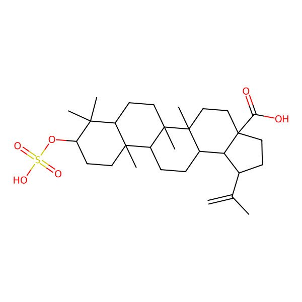 2D Structure of 5a,5b,8,8,11a-Pentamethyl-1-prop-1-en-2-yl-9-sulfooxy-1,2,3,4,5,6,7,7a,9,10,11,11b,12,13,13a,13b-hexadecahydrocyclopenta[a]chrysene-3a-carboxylic acid
