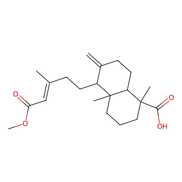 2D Structure of 5-(5-methoxy-3-methyl-5-oxopent-3-enyl)-1,4a-dimethyl-6-methylidene-3,4,5,7,8,8a-hexahydro-2H-naphthalene-1-carboxylic acid 2D Structure of 5-(5-methoxy-3-methyl-5-oxopent-3-enyl)-1,4a-dimethyl-6-methylidene-3,4,5,7,8,8a-hexahydro-2H-naphthalene-1-carboxylic acid