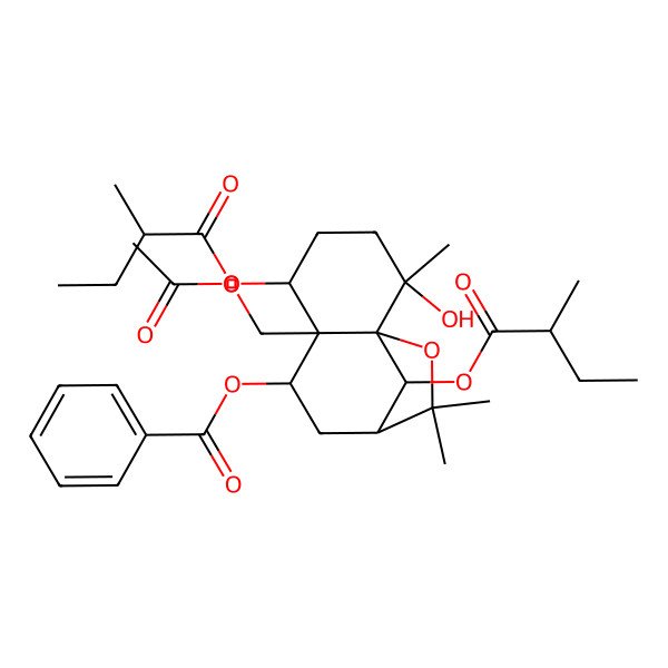 2D Structure of [6-(Acetyloxymethyl)-2-hydroxy-2,10,10-trimethyl-5,12-bis(2-methylbutanoyloxy)-11-oxatricyclo[7.2.1.01,6]dodecan-7-yl] benzoate