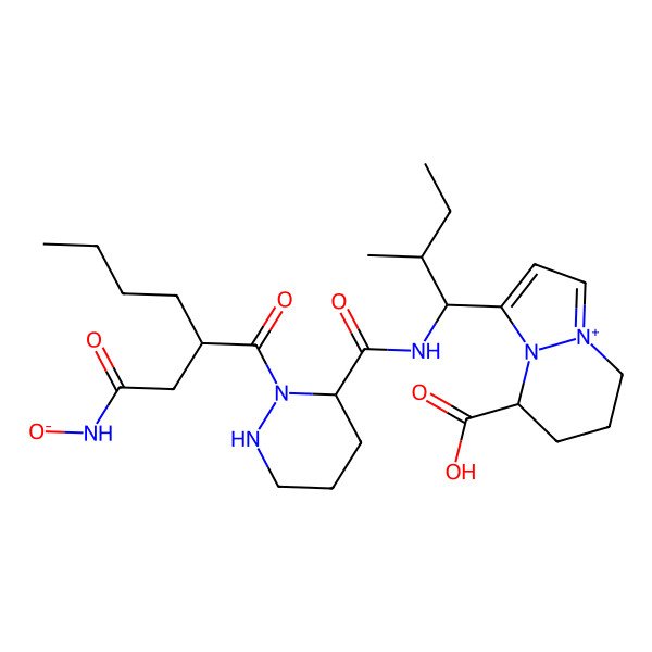 2D Structure of 3-[2-Methyl-1-[[2-[2-[2-(oxidoamino)-2-oxoethyl]hexanoyl]diazinane-3-carbonyl]amino]butyl]-5,6,7,8-tetrahydropyrazolo[1,2-a]pyridazin-9-ium-5-carboxylic acid