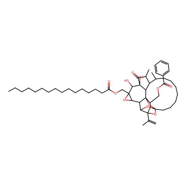 2D Structure of [(1R,2R,4R,5R,6S,7S,9R,10S,11S,13S,14R,15R,23S,25R)-9-(hexadecanoyloxymethyl)-10,11-dihydroxy-13,15-dimethyl-12-oxo-4-prop-1-en-2-yl-8,24,26,27-tetraoxaheptacyclo[12.10.1.14,23.15,23.01,6.07,9.011,25]heptacosan-2-yl]methyl benzoate