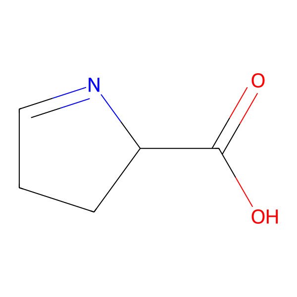 2D Structure of 1-Pyrroline-5-carboxylic acid