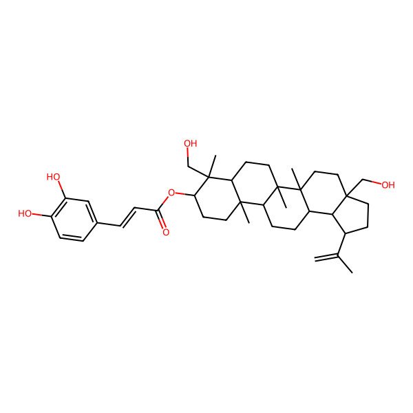 2D Structure of 23,28-Dihydroxylupan-20(29)-Ene-3Beta-Caffeate