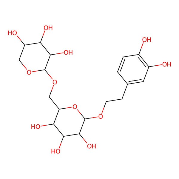 2D Structure of (2R,3R,4R,5S,6R)-2-[2-(3,4-dihydroxyphenyl)ethoxy]-6-[[(2S,3R,4S,5R)-3,4,5-trihydroxyoxan-2-yl]oxymethyl]oxane-3,4,5-triol