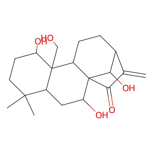 2D Structure of (1R,2R,4R,8S,9R,10S,13R)-2,8,16-trihydroxy-9-(hydroxymethyl)-5,5-dimethyl-14-methylidenetetracyclo[11.2.1.01,10.04,9]hexadecan-15-one