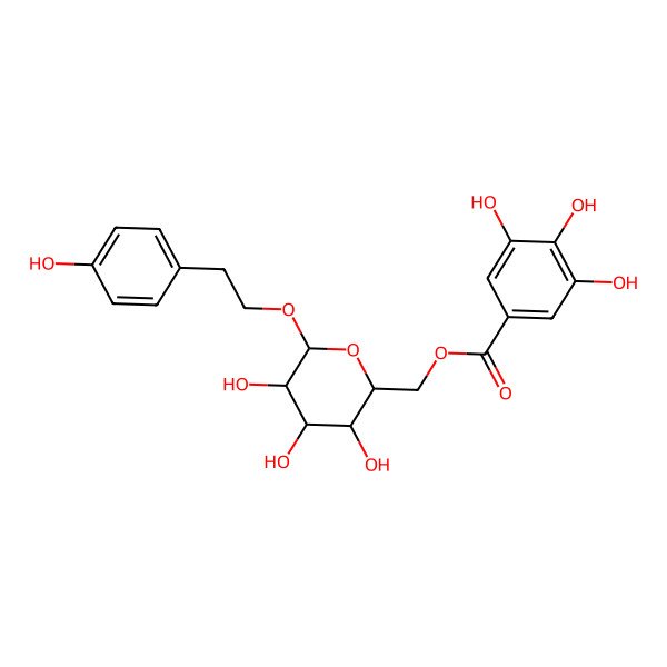 2D Structure of [3,4,5-Trihydroxy-6-[2-(4-hydroxyphenyl)ethoxy]oxan-2-yl]methyl 3,4,5-trihydroxybenzoate
