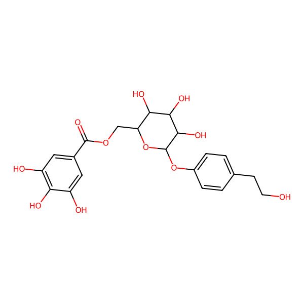 2D Structure of [3,4,5-Trihydroxy-6-[4-(2-hydroxyethyl)phenoxy]oxan-2-yl]methyl 3,4,5-trihydroxybenzoate