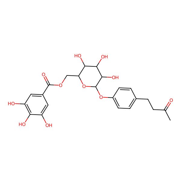 2D Structure of [3,4,5-Trihydroxy-6-[4-(3-oxobutyl)phenoxy]oxan-2-yl]methyl 3,4,5-trihydroxybenzoate