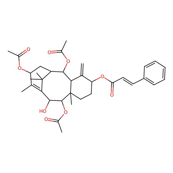 2D Structure of [(1R,2R,3R,5S,8R,9R,10R,13S)-2,9,13-triacetyloxy-10-hydroxy-8,12,15,15-tetramethyl-4-methylidene-5-tricyclo[9.3.1.03,8]pentadec-11-enyl] (E)-3-phenylprop-2-enoate