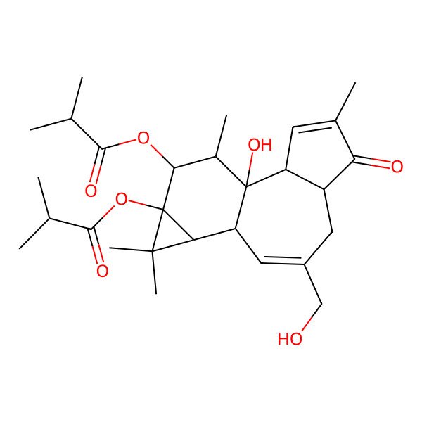 2D Structure of [(1R,2R,6R,10S,11R,13S,14R,15R)-1-hydroxy-8-(hydroxymethyl)-4,12,12,15-tetramethyl-13-(2-methylpropanoyloxy)-5-oxo-14-tetracyclo[8.5.0.02,6.011,13]pentadeca-3,8-dienyl] 2-methylpropanoate