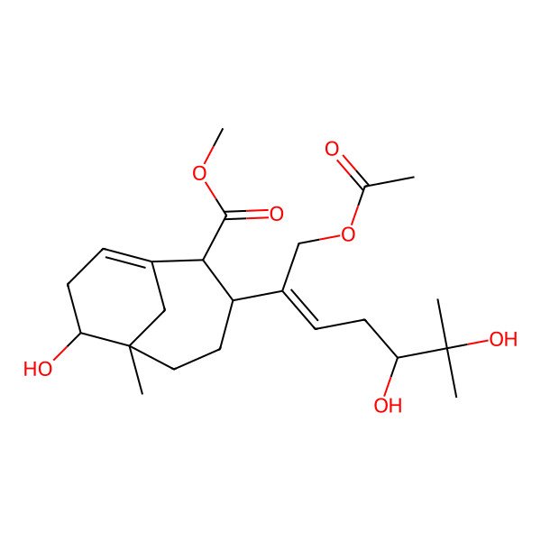 2D Structure of methyl (2R,3S,6S,7R)-3-[(E,5S)-1-acetyloxy-5,6-dihydroxy-6-methylhept-2-en-2-yl]-7-hydroxy-6-methylbicyclo[4.3.1]dec-1(9)-ene-2-carboxylate