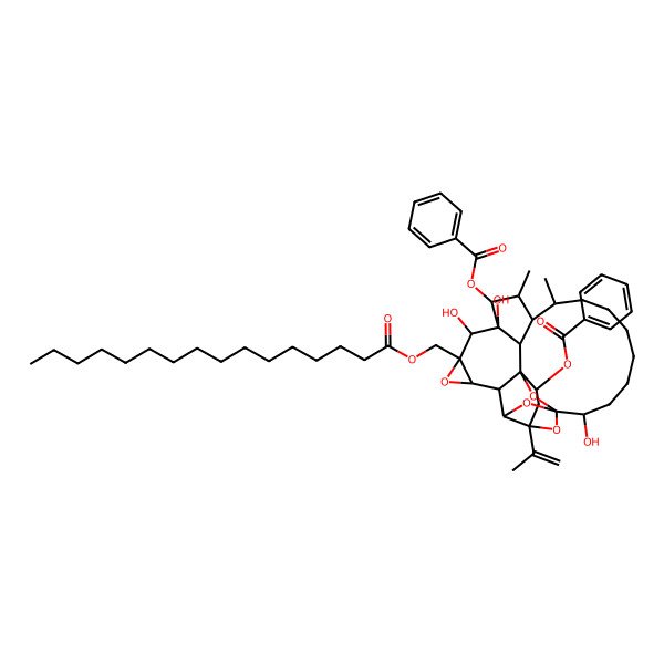 2D Structure of [(1R,2S,4R,5R,6R,7S,9R,10R,11R,12R,13R,14R,15S,22S,23S,25S)-12-benzoyloxy-9-(hexadecanoyloxymethyl)-10,11,22-trihydroxy-13,15-dimethyl-4-prop-1-en-2-yl-8,24,26,27-tetraoxaheptacyclo[12.10.1.14,23.15,23.01,6.07,9.011,25]heptacosan-2-yl] benzoate
