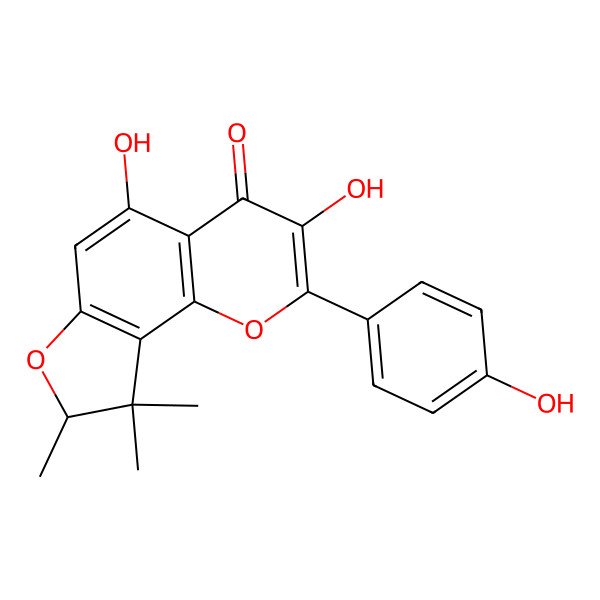 2D Structure of 3,5-dihydroxy-2-(4-hydroxyphenyl)-8,9,9-trimethyl-8H-furo[2,3-h]chromen-4-one