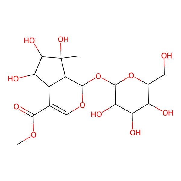 2D Structure of methyl (1S,4aS,5S,6S,7R,7aS)-5,6,7-trihydroxy-7-methyl-1-[(3R,4S,5S,6R)-3,4,5-trihydroxy-6-(hydroxymethyl)tetrahydropyran-2-yl]oxy-4a,5,6,7a-tetrahydro-1H-cyclopenta[c]pyran-4-carboxylate
