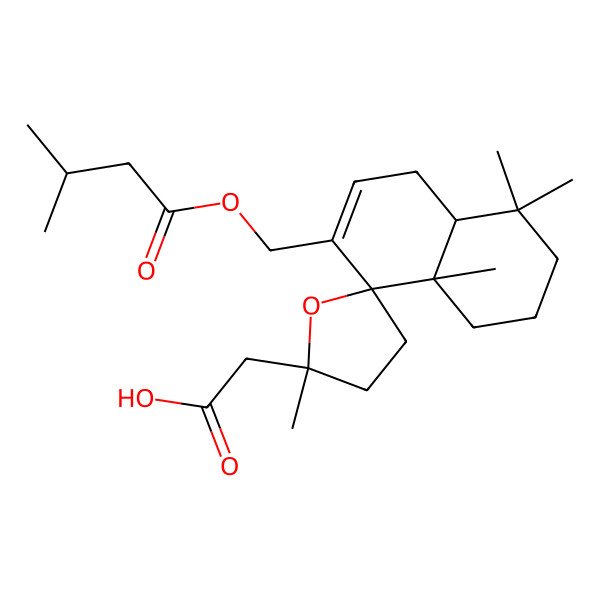 2D Structure of 2-[(2'S,4aS,8S,8aS)-2',4,4,8a-tetramethyl-7-(3-methylbutanoyloxymethyl)spiro[2,3,4a,5-tetrahydro-1H-naphthalene-8,5'-oxolane]-2'-yl]acetic acid